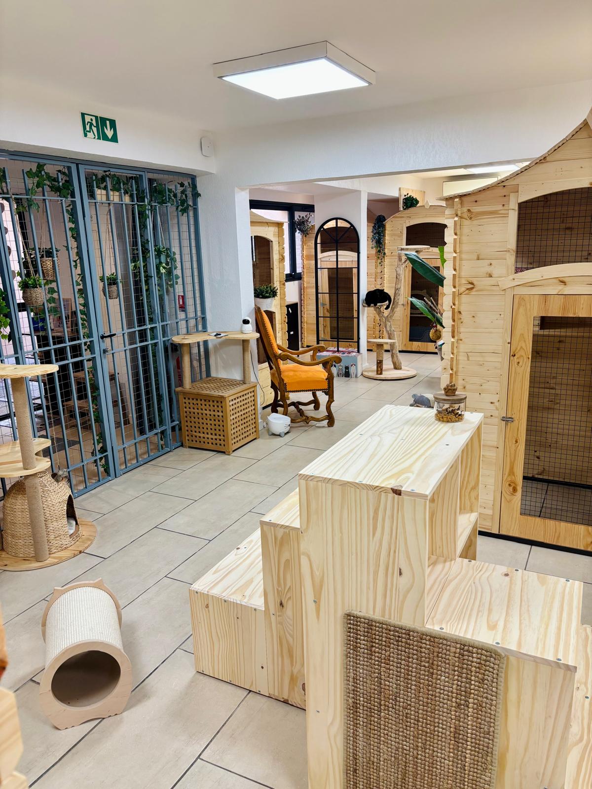 Espace de jeux collectif pour chats au Cat Lodge Hôtel