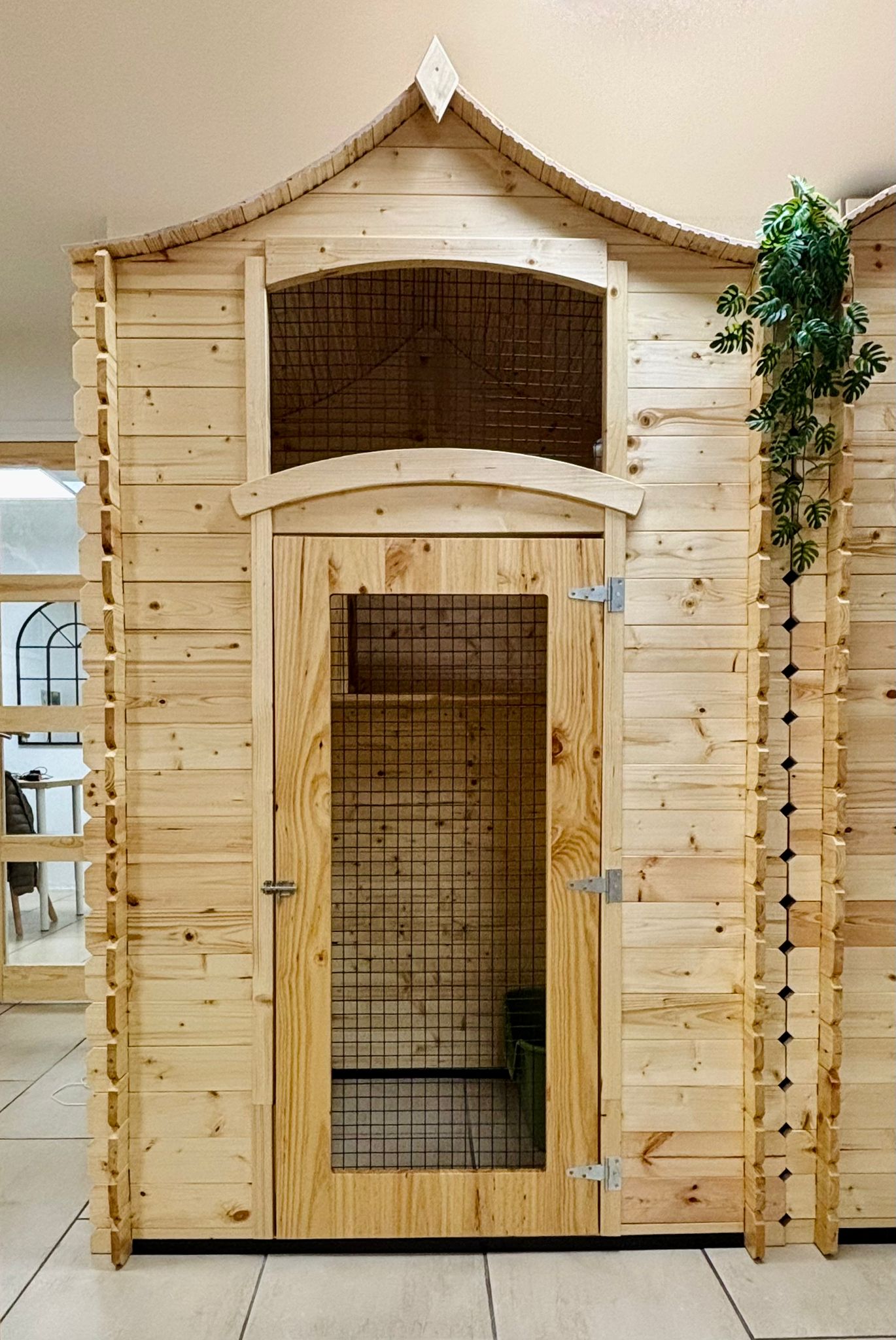 Cabane Standard du Cat Lodge Hôtel