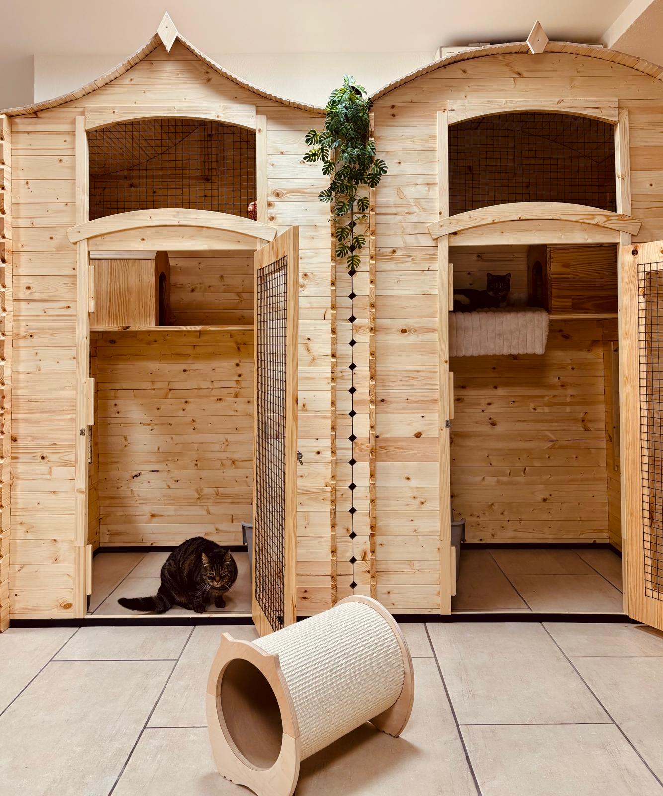 Cabanes en bois individuelles du Cat Lodge Hôtel